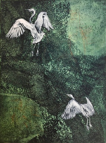 herons flying through murmuration of tiny birds