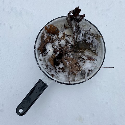 Fallen Leaves & 1st Snow of 2022 Ink