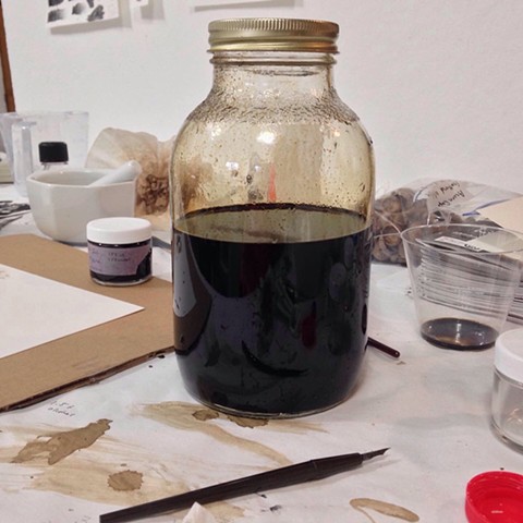 The walnut ink can be simmered to reduce further if a darker ink is desired.