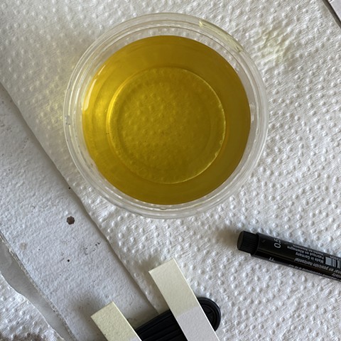 Strain the goldenrod ink through a fine mesh strainer, removing any solids or particles