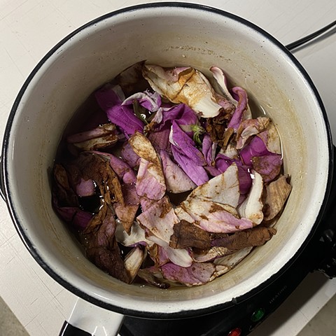 Making ink with dogwood blossoms