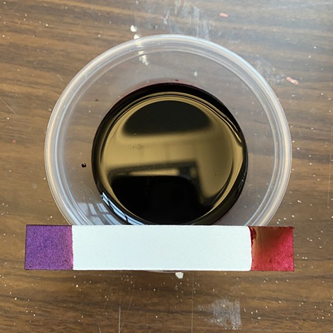The wild grape ink with soda ash added (left) and without (right)