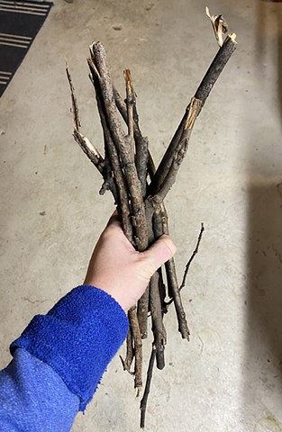 Fallen branches collected for making charcoal, ink, and paper