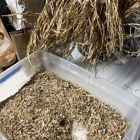 Cutting the Hakone grass fiber before cooking & beating for papermaking