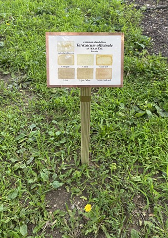 Dandelion Botanical Ink Sample Marker