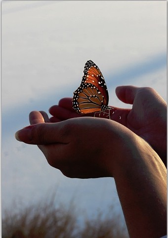 Monarch in the Hand