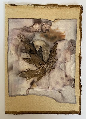 Maple