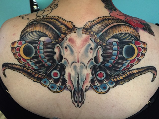 Ram Skull with Butterfly Wings (Healed)
