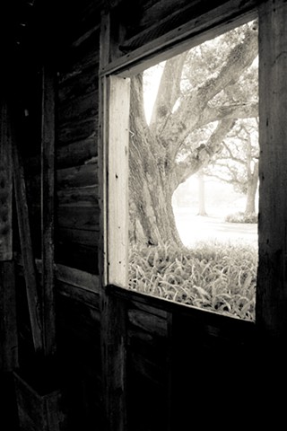 View from Slave Quarters