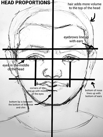 Head Proportion Handout
