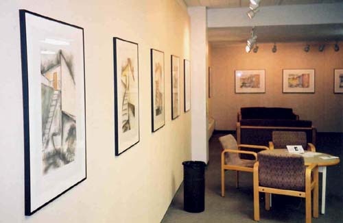 alleyscapes exhibit (2003)