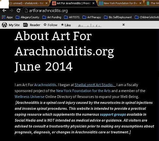Empowerment Project Website for Arachnoiditis Survivors