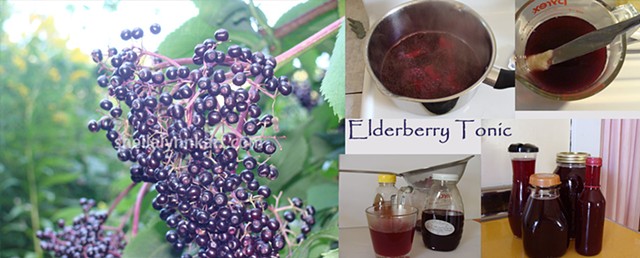 Elderberries Tonic