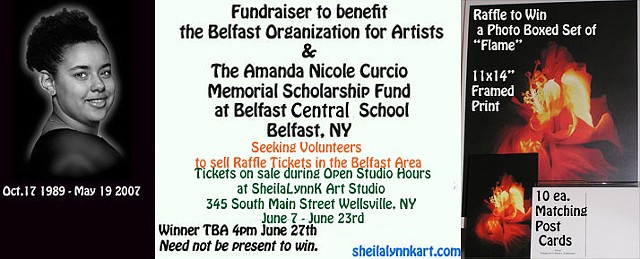 Fundraiser in Memory of Amanda