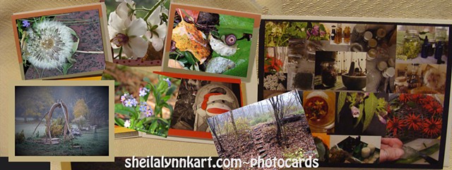 sheilalynnk art studio note cards, fine art note cards, photography note cards