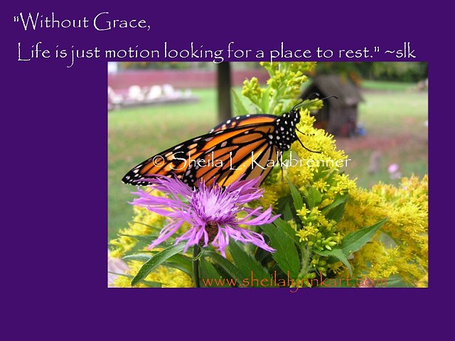 Grace and Motion