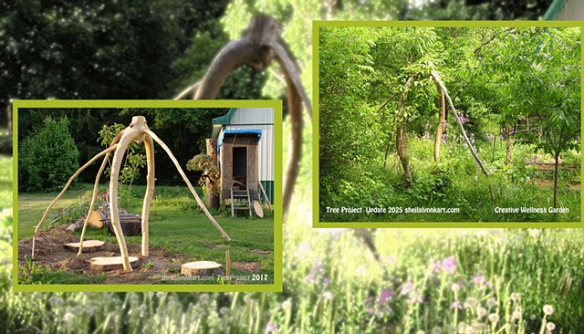 Tree Project update 2017-2025