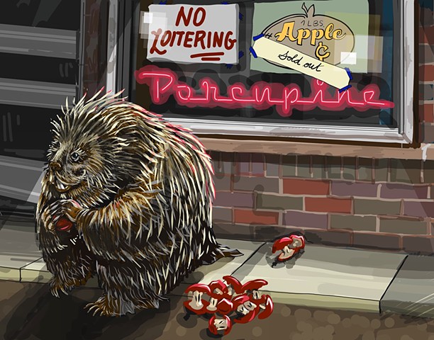 Porcupine 