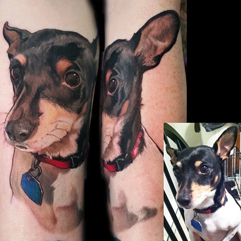 memorial dog portrait by female tattoo artist Tiffany Garcia