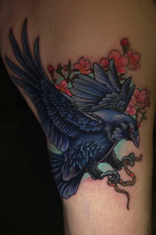 Crow with cherry blossoms