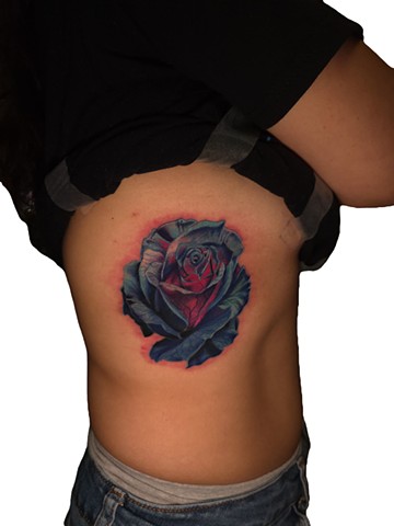 blue rose with pink glow