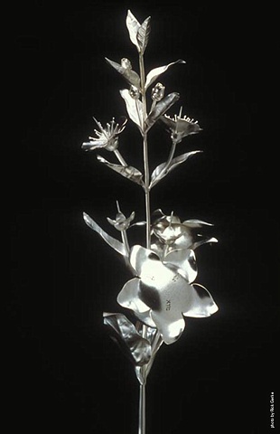 Anika Smulovitz, Myrtle Hadas, sterling silver flower and pods
