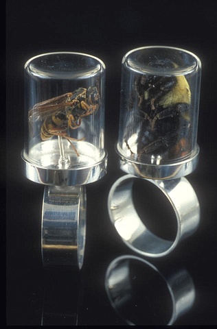 Smulovitz Herbarium Specimen Rings Vespula sp. and Bombus sp.