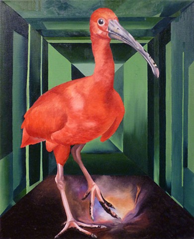 Color Contrast Study