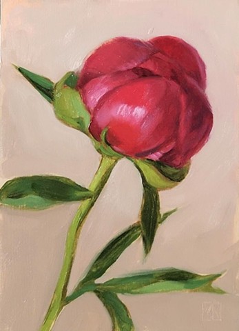 Peony Bud
