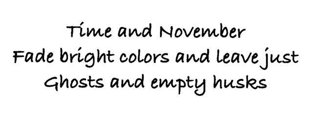 Haiku 81