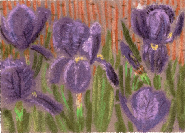 Card - Irises