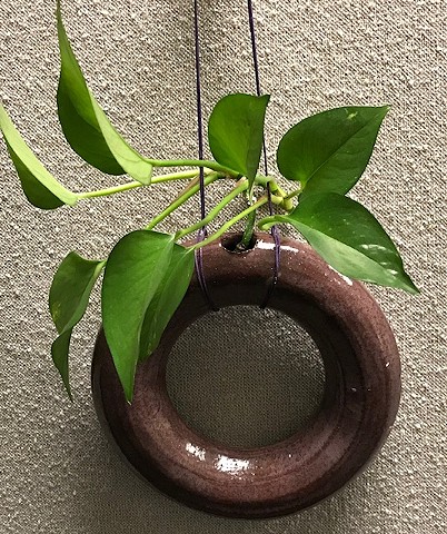 A ring pot with a hole for water & plant roots