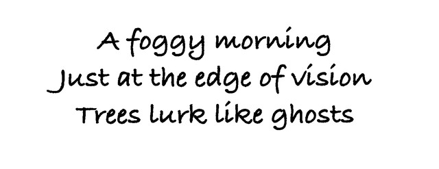 Haiku 21