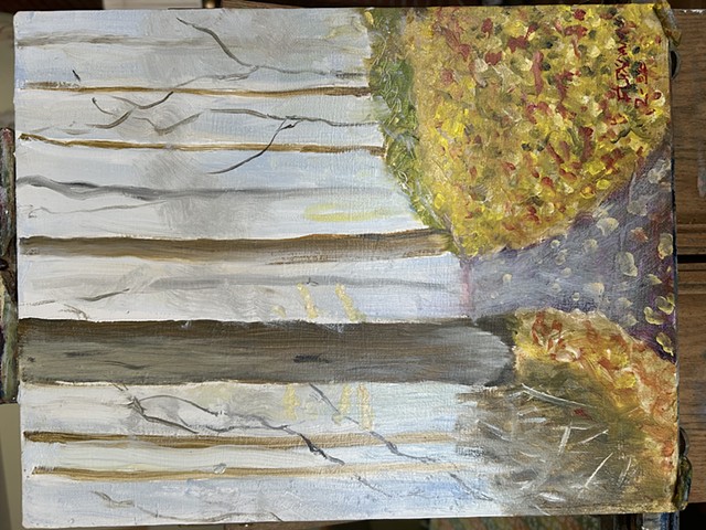 Foggy November Woods