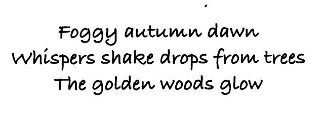 Haiku 78