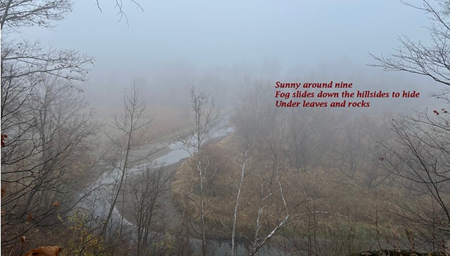Fog Haiga 2