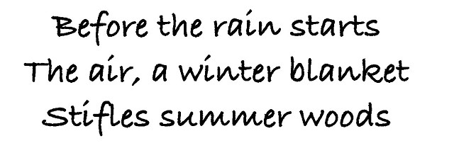 Haiku 115