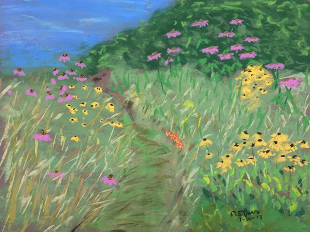 Meadow with coneflowers, bee balm, black-eyed Susans, and butterfly weed