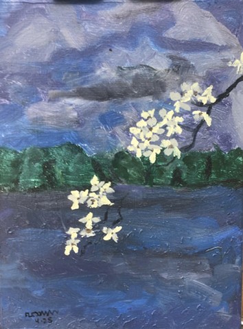 Dogwood Night