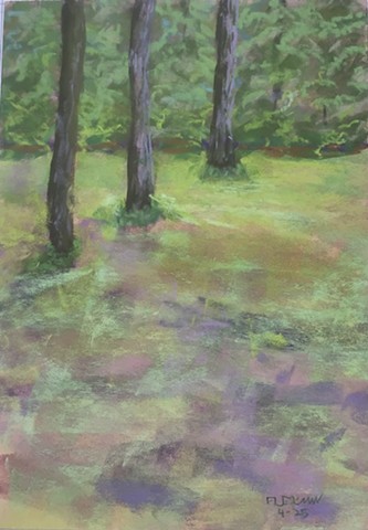 Landscapes