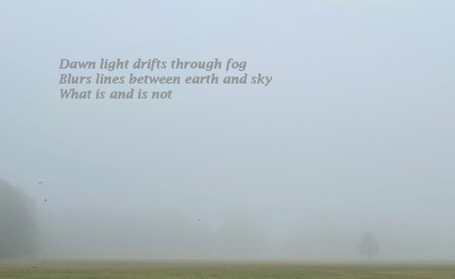 Fog Haiga