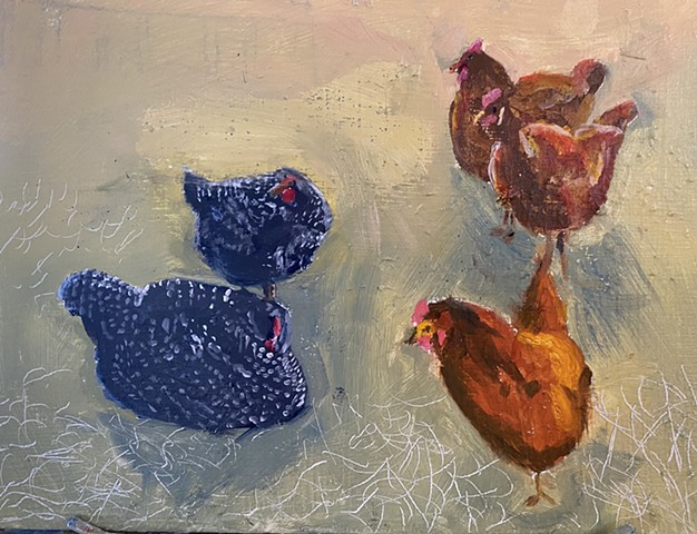 Chickens