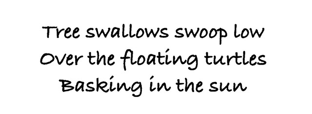 Haiku 68