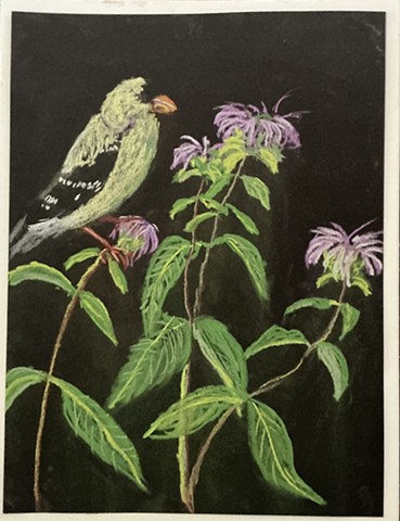 Goldfinch