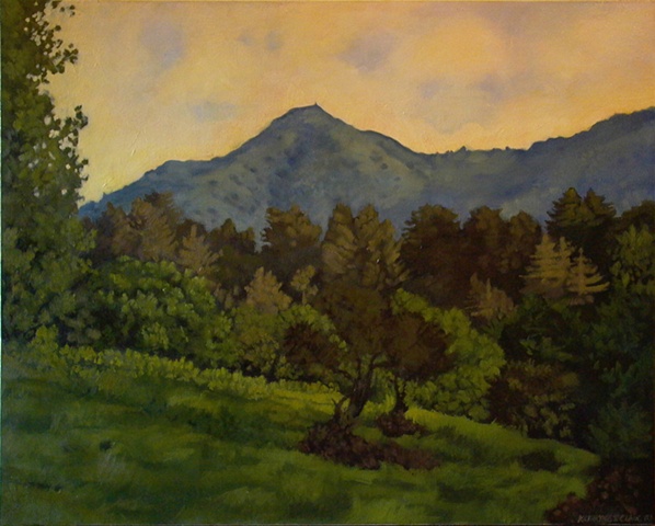 "View of Mt. Tamalpais"