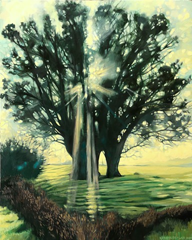 "Morning Light Through Trees" -SOLD-