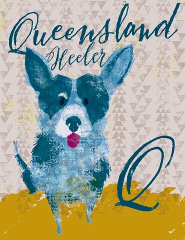 illustration digital dogs queensland heeler lettering