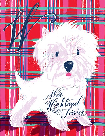 dogs art illustration calligraphy plaid westie west highland terrier