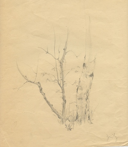 Eva Slater drawing of trees