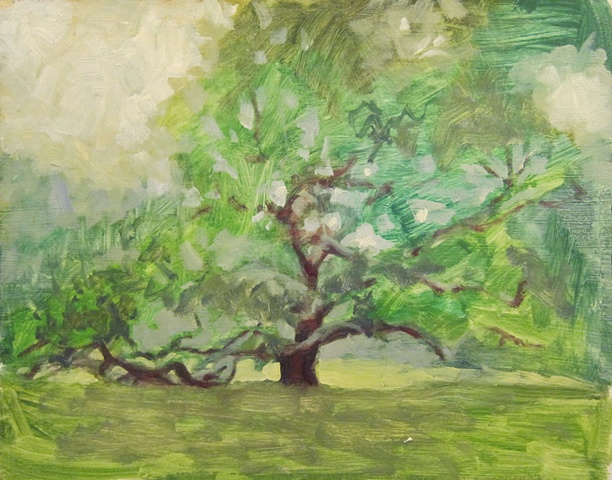 Old Tree Sketch II